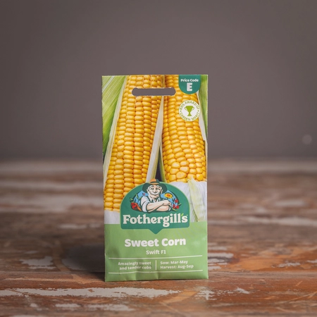 Sweet Corn Swift F1 - image 1