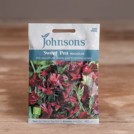 Sweet Pea Beaujolais - image 1