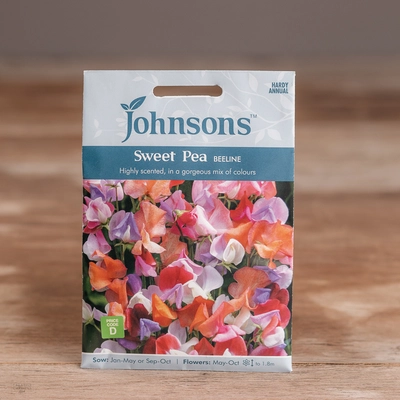 Sweet Pea Beeline - image 1