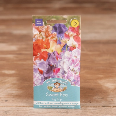 Sweet Pea Big Top - image 1