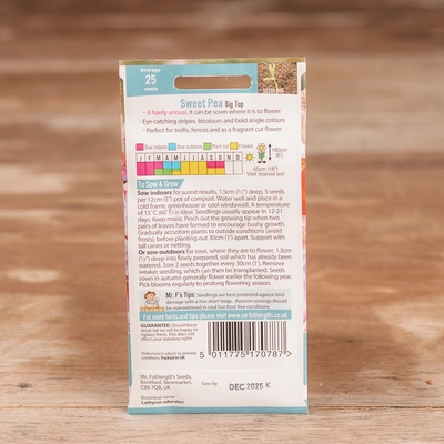 Sweet Pea Big Top - image 2