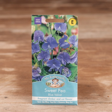 Sweet Pea Blue Velvet - image 1