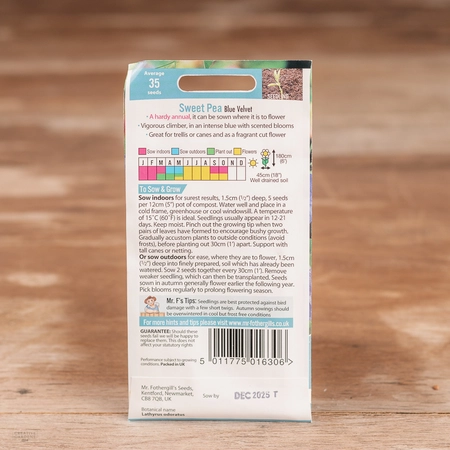 Sweet Pea Blue Velvet - image 2