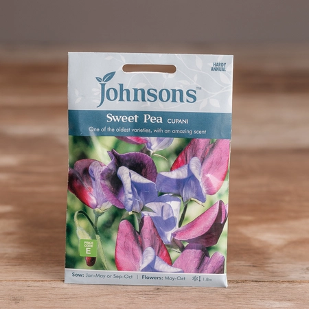 Sweet Pea Cupani - image 1