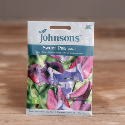 Sweet Pea Cupani - image 1