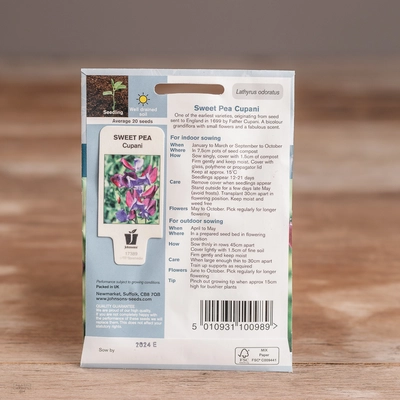 Sweet Pea Cupani - image 2