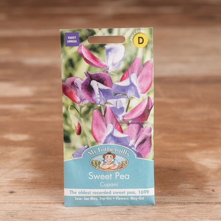 Sweet Pea Cupani (Grandiflora) - image 1