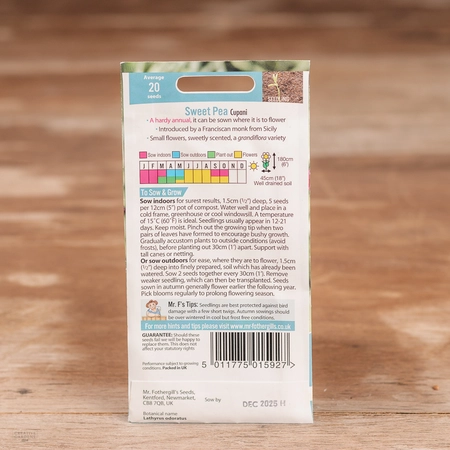 Sweet Pea Cupani (Grandiflora) - image 2