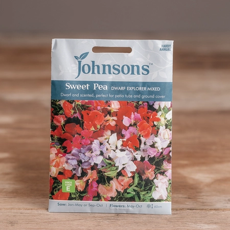 Sweet Pea Dwarf Explorer Mix - image 1