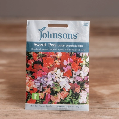 Sweet Pea Dwarf Explorer Mix - image 1