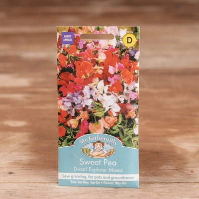 Sweet Pea Dwarf Explorer Mix - image 1