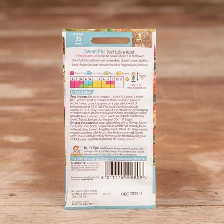 Sweet Pea Dwarf Explorer Mix - image 2