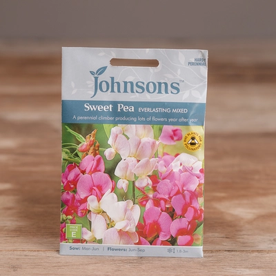 Sweet Pea Everlasting Mix - image 1