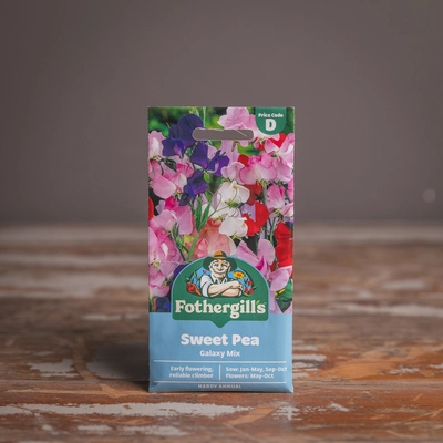 Sweet Pea Galaxy - image 1