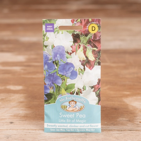Sweet Pea Little Bit O Magic - image 1