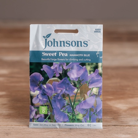 Sweet Pea Mammoth Blue - image 1