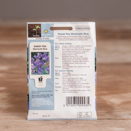 Sweet Pea Mammoth Blue - image 2