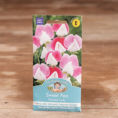 Sweet Pea Painted Lady (Grandiflora) - image 1