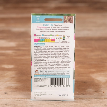 Sweet Pea Painted Lady (Grandiflora) - image 2