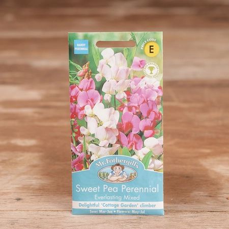 Sweet Pea Perennial Everlasting Mix - image 1