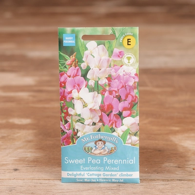Sweet Pea Perennial Everlasting Mix - image 1