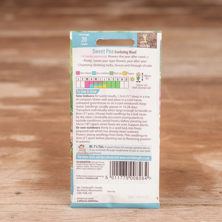 Sweet Pea Perennial Everlasting Mix - image 2