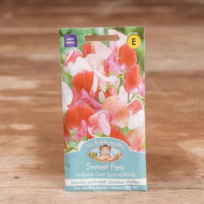 Sweet Pea Perfume Duet (Grandiflora) - image 1