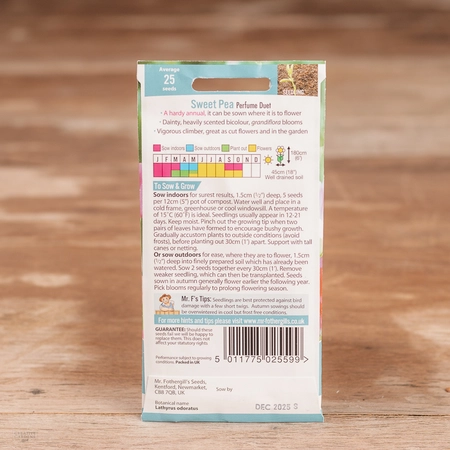 Sweet Pea Perfume Duet (Grandiflora) - image 2