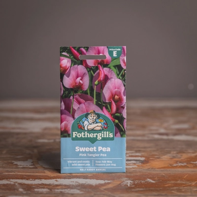 Sweet Pea Pink Tangier Pea - image 1