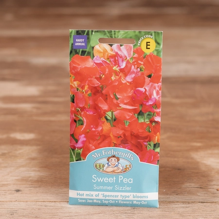 Sweet Pea Summer Sizzler - image 1