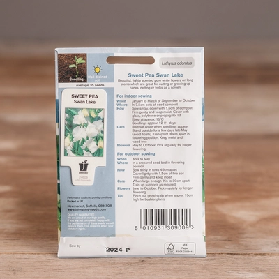 Sweet Pea Swan Lake - image 2