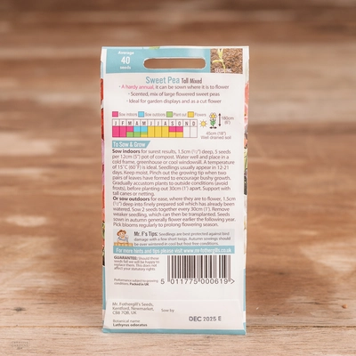 Sweet Pea Tall Mix - image 2
