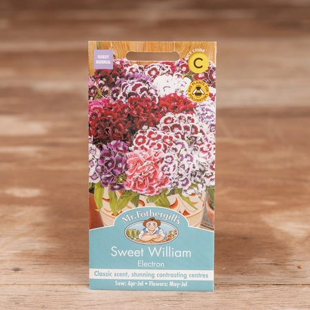 Sweet William Electron - image 1