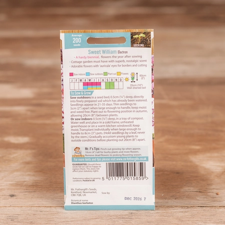 Sweet William Electron - image 2