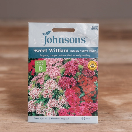 Sweet William Indian Carpet Mix - image 1