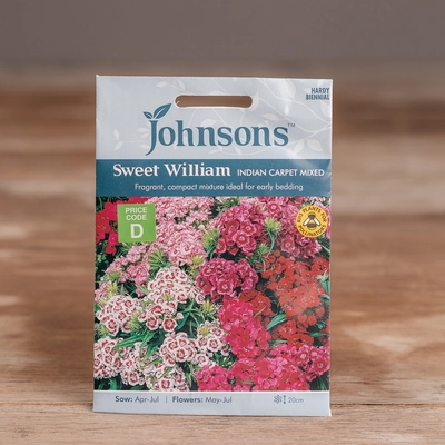 Sweet William Indian Carpet Mix - image 1