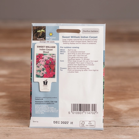 Sweet William Indian Carpet Mix - image 2