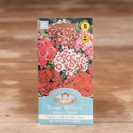 Sweet William Monarch Mix - image 1