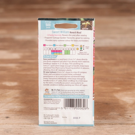 Sweet William Monarch Mix - image 2