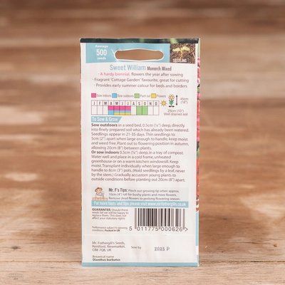 Sweet William Monarch Mix - image 2