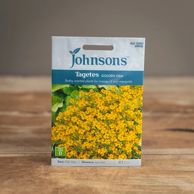 Tagetes Golden Gem - image 1
