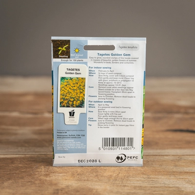 Tagetes Golden Gem - image 2