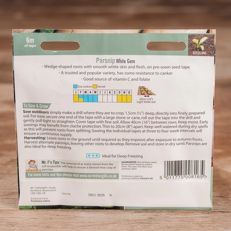 Tape Parsnip White Gem - image 2