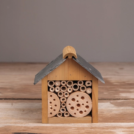 Tom Chambers Bee and Insect Hut - image 1