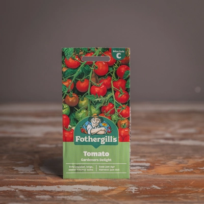 Tomato Gardeners Delight - image 1