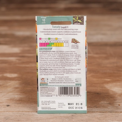 Tomato Sungold F1 - image 2