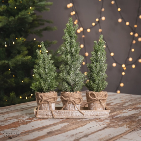 Trees in Hessain Base - Set of 3 - image 1