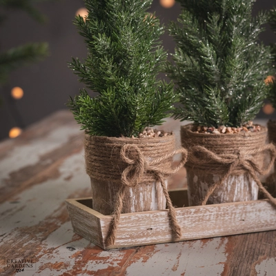 Trees in Hessain Base - Set of 3 - image 2