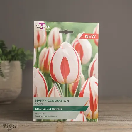 Tulip Happy Generation