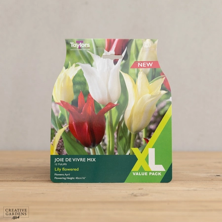 Tulip Joie De Vivre Mix